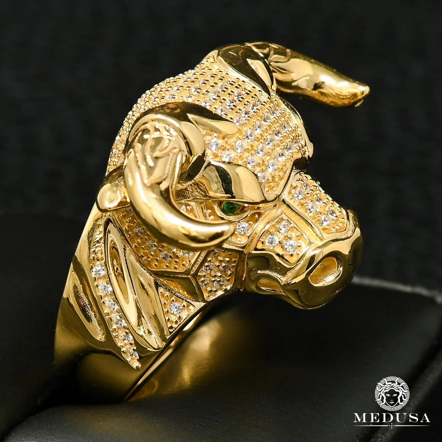 Bull H2  - Image 2