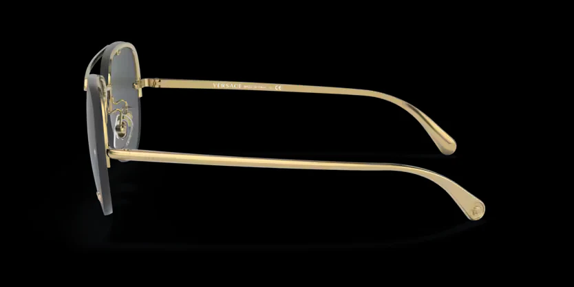 Versace Iconic - 0VE2231  - Image 2